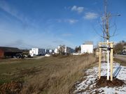 Dr.-David-Morgenstern-Straße 2.JPG