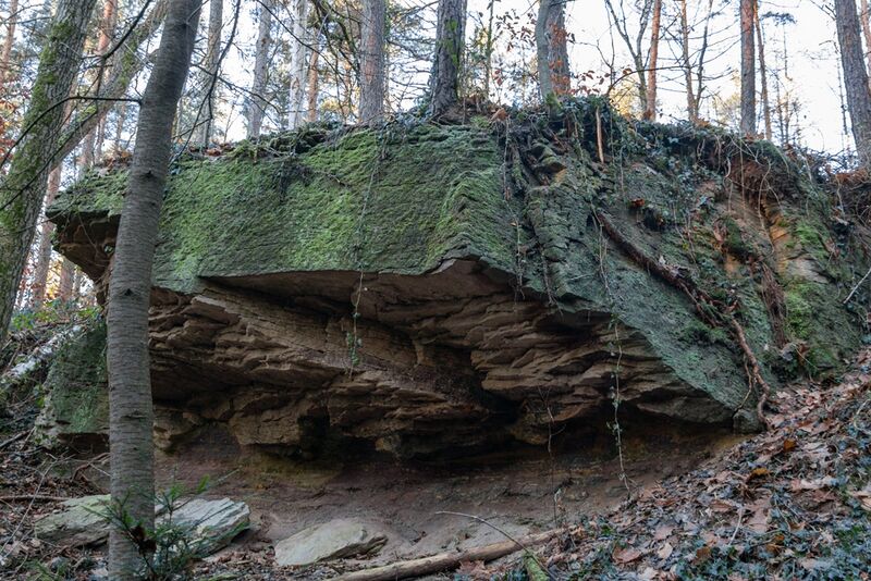 Datei:2021 Steinbruch Weiherhof 06 .jpg