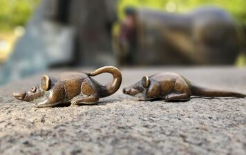 2025 07 09 Paradiesbrunnen Mäusepaar.jpg