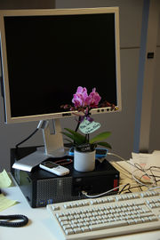 FN Arbeitsplatz 2017.jpg