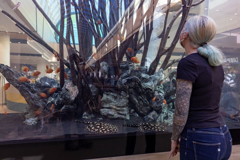 Datei:Flair Besucherin mit Rochen Sept 2021.jpg