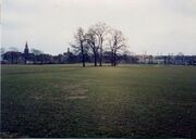 NL-FW 04 0276 KP Schaack Wiesengrund 18.3.79.jpg