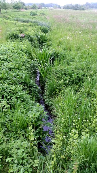 Datei:Schmalaugraben (5).jpg