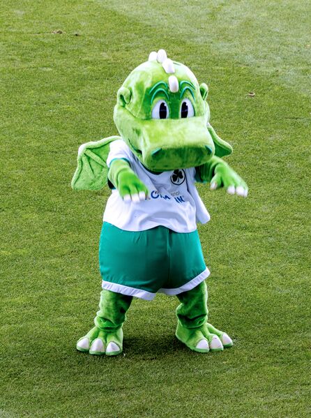 Datei:SpVgg Eddy Juli 2023.jpg