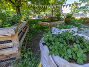 20250429 FW ALTSTADTGÄRTLA 00420250429 FW ALTSTADTGÄRTLA 004.jpg