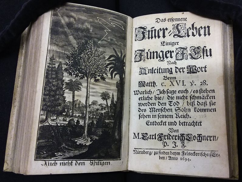 Datei:Das ersonnene Immerleben.jpg