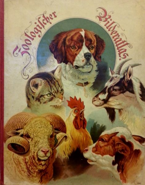 Datei:Zoologischer Bilderatlas I.jpg