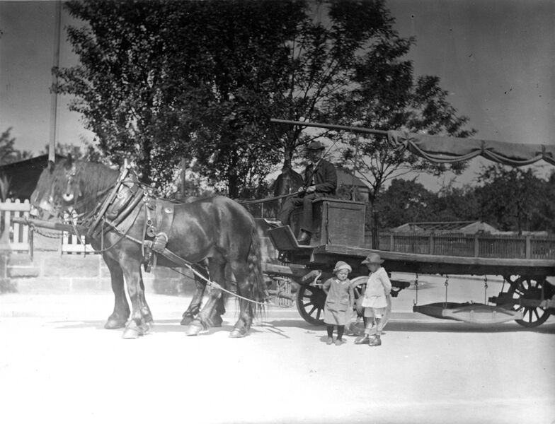Datei:53 NL-FW Hautsch Vogel.jpg
