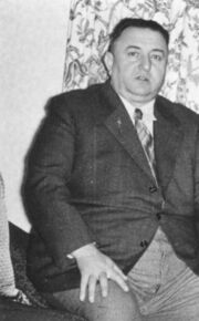 NL-FW 09 KP 672 Friedrich Schmidt Stadeln.jpg