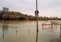 Hochwasser im Wiesengrund, 1980