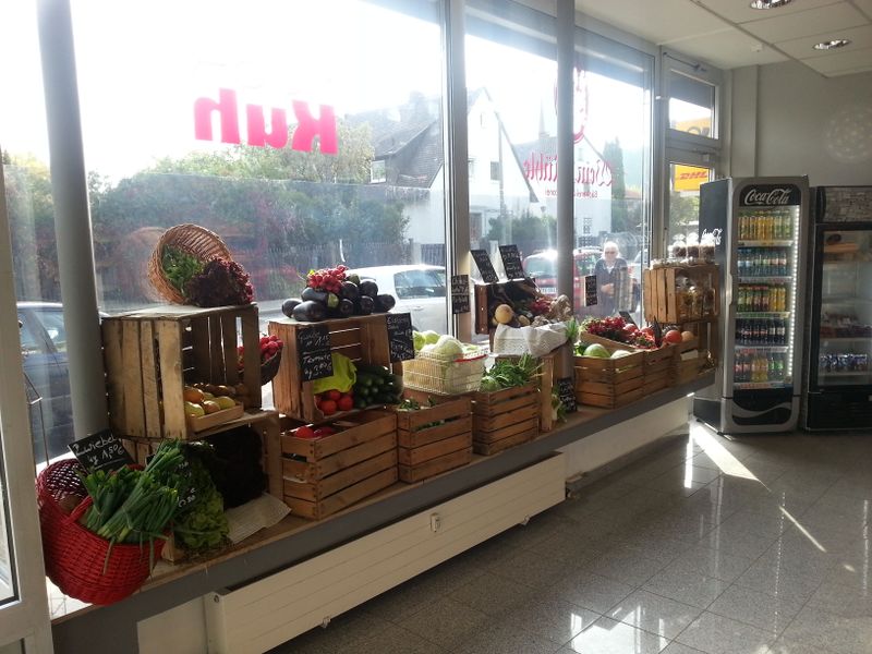 Datei:Dambacher (2).jpg