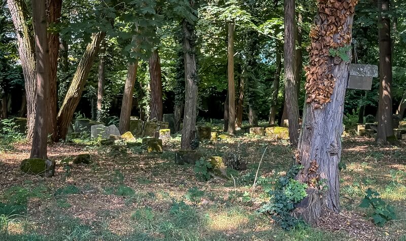 Datei:20240901 FUERTH ALTER JUEDISCHER FRIEDHOF 007.jpg
