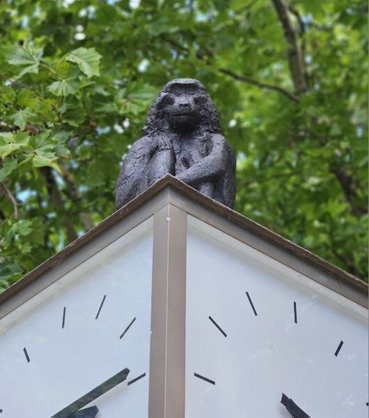 Datei:2025 07 09 Pavian Sparkassenuhr Fth Freiheit.jpg