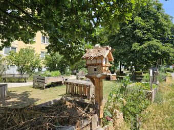 Südstadt-Gärtla Blick nach Osten, Juni 2025