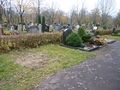 Die über Jahrzehnte aufgelassene Grabstätte von Emilie Lehmus am Fürther Friedhof, Feld 42, Nr. 9.