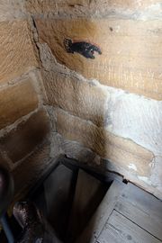 Rathausturm Nov 2020 1.jpg