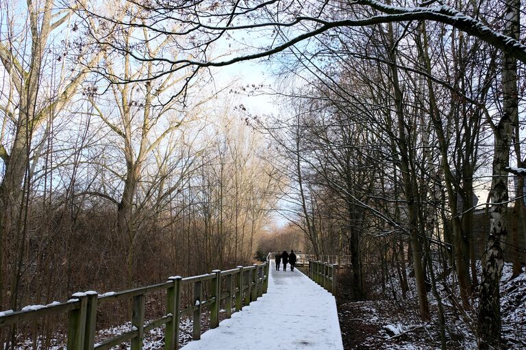 FROG-Steg Jan 2021 4.jpg