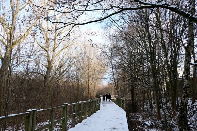 Datei:FROG-Steg Jan 2021 4.jpg