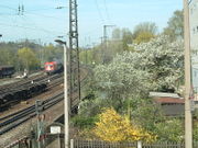 2004-04-22 Schrankenposten 8 - Blick nach Westen.jpg