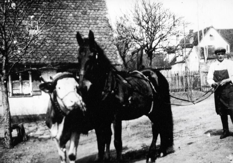 Datei:NL-FW 09 KP 1062 Michael Schrems Stadeln 1938.jpg