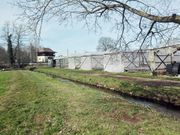 Herboldshof Tabaktrocknung 03 2020 2.jpg