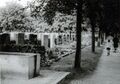 Weg auf dem Fürther Hauptfriedhof, Juli 1967