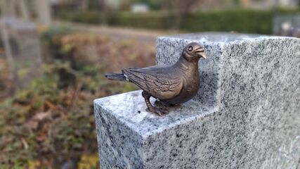 Friedhof 19.11.2025 2.jpg