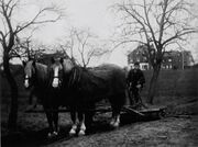 NL-FW 09 KP 372 Johann Ulrich Mannhof 1938.jpg