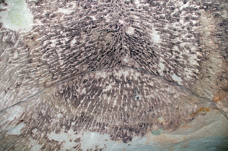 Datei:Bierkeller Burgfarrnbach 7.jpg