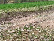 Egersdorfer Straße Bodendenkmal Mrz 2024 11.jpg