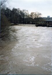 NL-FW 04 0612 KP Schaack Hochwasser 2.1981.jpg