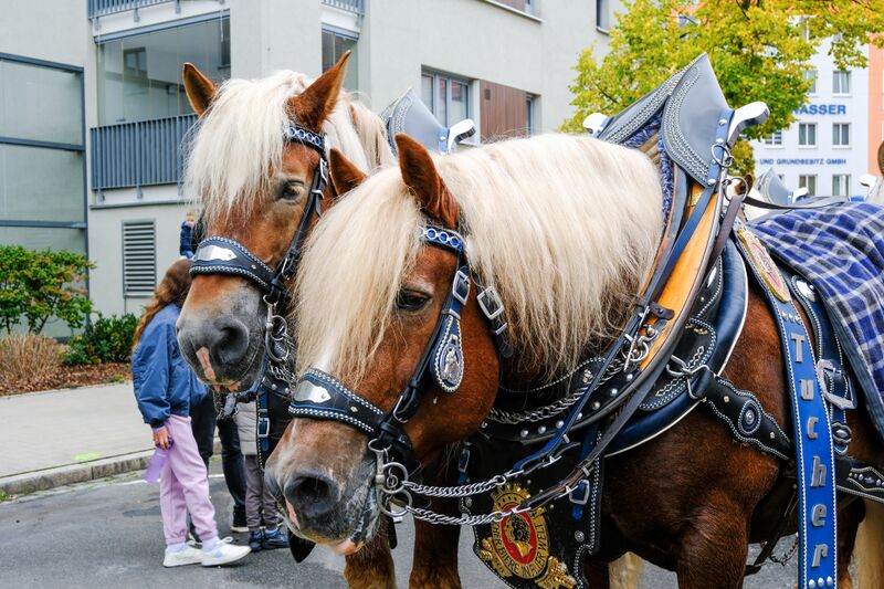 Datei:Erntedankfestzug Okt 2025 116.jpg