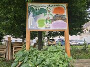 Infotafel Tiere in Bauten im Altstadtgärtla Juni 2025.jpg