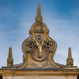 HIRSCH HIRSCHENSTRASSE 1.jpg