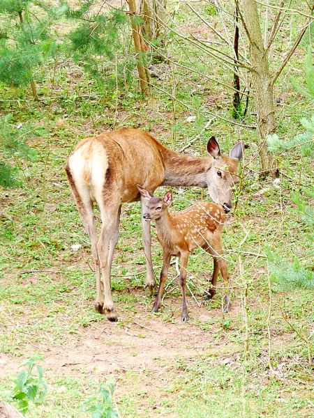 Datei:20190609 174402.jpg