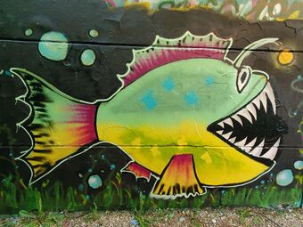 Graffiti Jugendhaus Hardhöhe 2.jpg