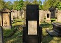 Grabstätte von <!--LINK'" 0:61--> auf dem neuen jüdischen Friedhof an der <!--LINK'" 0:62-->