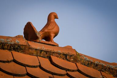 20251031 FW TIERISCHES FÜRTH 003.jpg