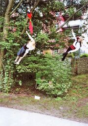 NL-FW 04 2349 KP Schaack Multi Garten 25.8.2007.jpg