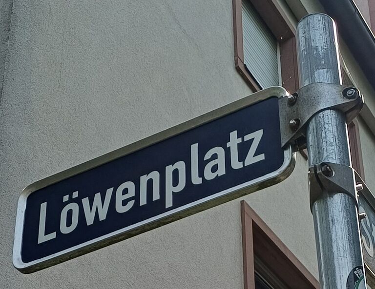 Straßenbild Löwenplatz.jpg