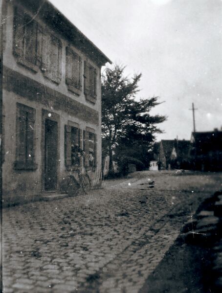 Datei:DSCF3634 Grüner Baum Vach.JPG