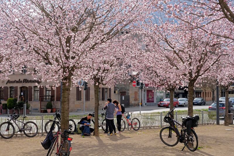 Datei:Billinganlage April 2021 2.jpg