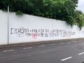 Graffiti an einer Mauer Am Europakanal zum Thema Corona-Pandemie, Juni 2021
