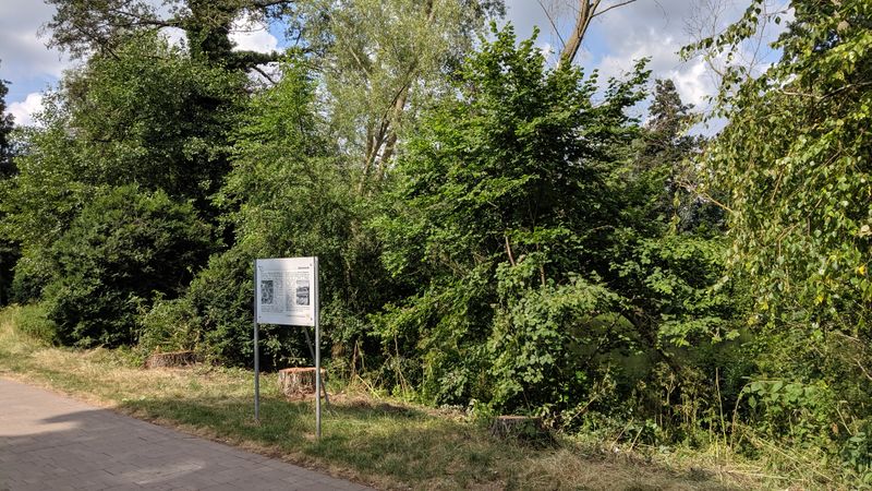 Datei:GedenktafelBenario190710 Baumstuempfe2.jpg