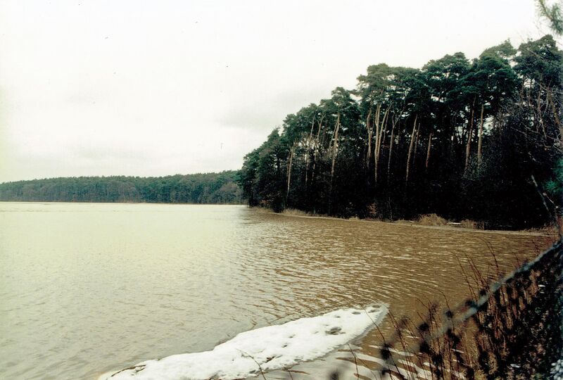Datei:Hochwasser Mannhof Feb 1988.jpg