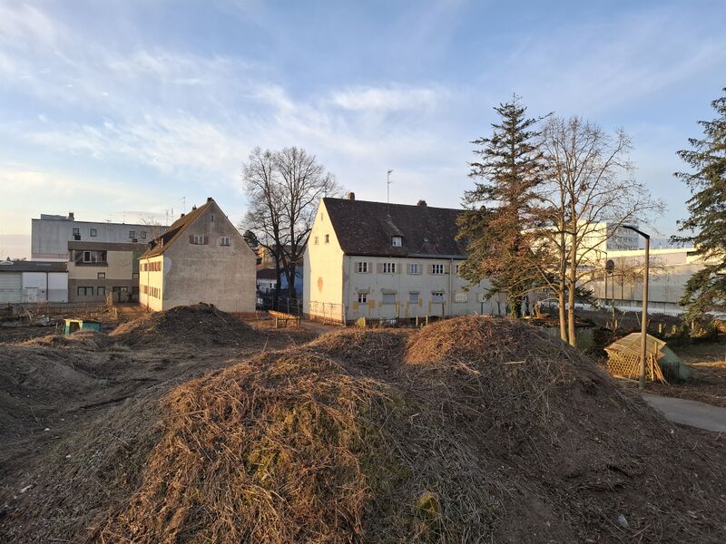 Datei:20250316 070753.jpg