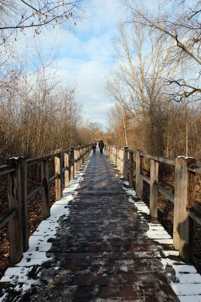 Datei:FROG-Steg Jan 2021 2.jpg