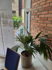 2020-09-05 11-27-13.jpg