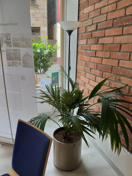 Datei:2020-09-05 11-27-13.jpg