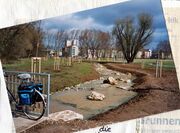 NL-FW 04 2378.13 KP Schaack Fischtreppe Jubiläumshain 13.3.2008.jpg